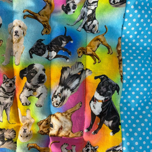 A close-up of a dog themed over a  rainbow background.